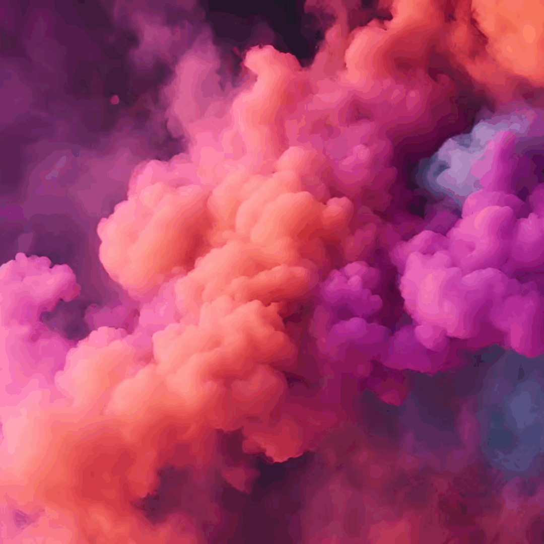 Wild Moss: Creative marketing and media agency helping small businesses grow.